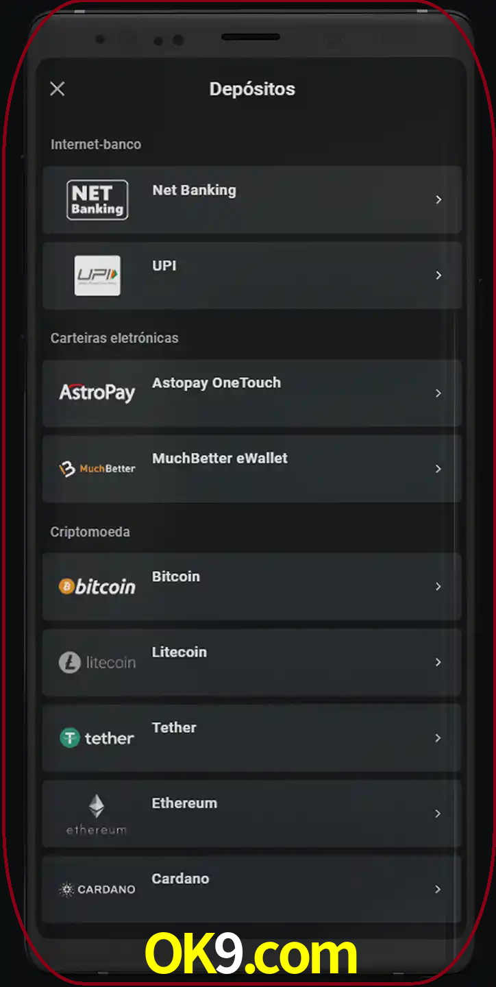Você pode usar métodos alternativos de depósito.