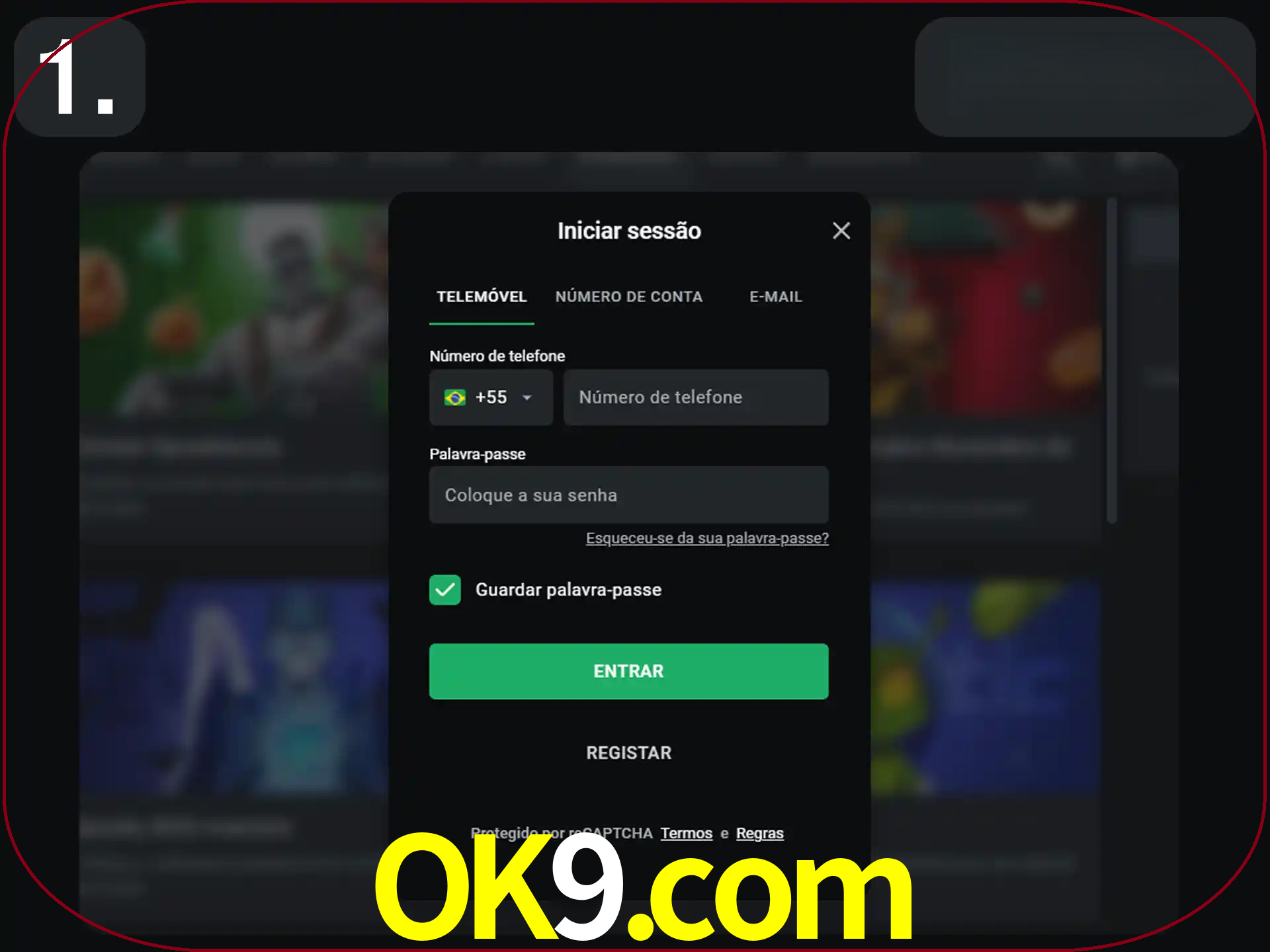 Acesse o site.